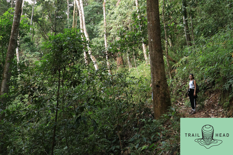 Hiking in Chiang Mai