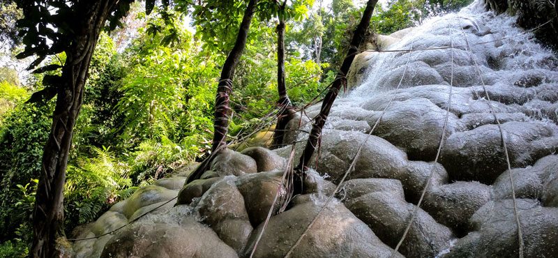 Sticky Waterfall